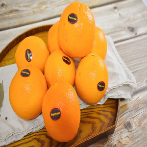 [단독창고] 고당도 오렌지 2kg / 미국 캘리포니아 직수입 고당도 오렌지