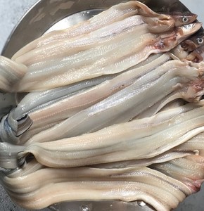 [단독] 대왕 바다장어 1kg - 오늘 초 특가 단독으로 나갑니다!